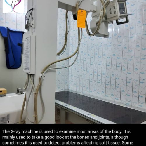 WhatsApp Image 2024-05-13 at 12.25.57 PM