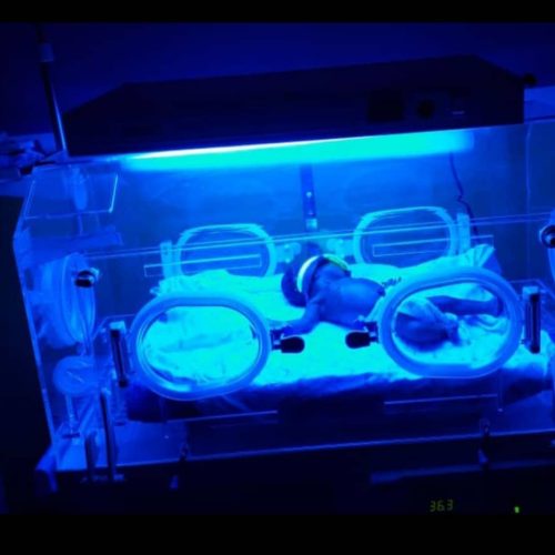 WhatsApp Image 2024-05-13 at 12.26.08 PM (2)